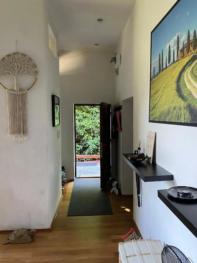 Apartment Modern House In Central With Pool Budapest Hungary