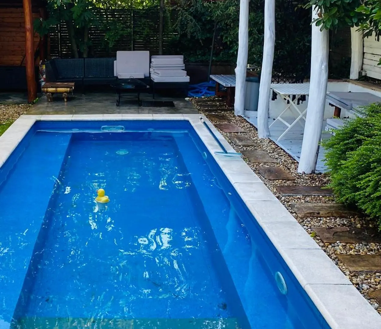 Modern House In Central With Pool Budapest Hungary